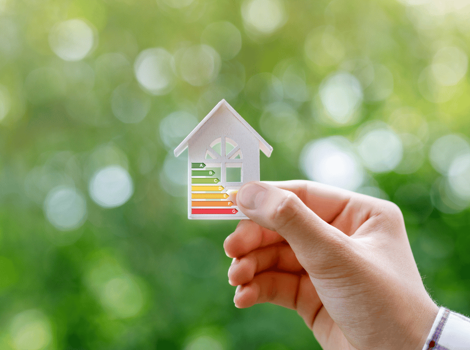 Eco-Friendly Homes and the Hottest Trends for 2024