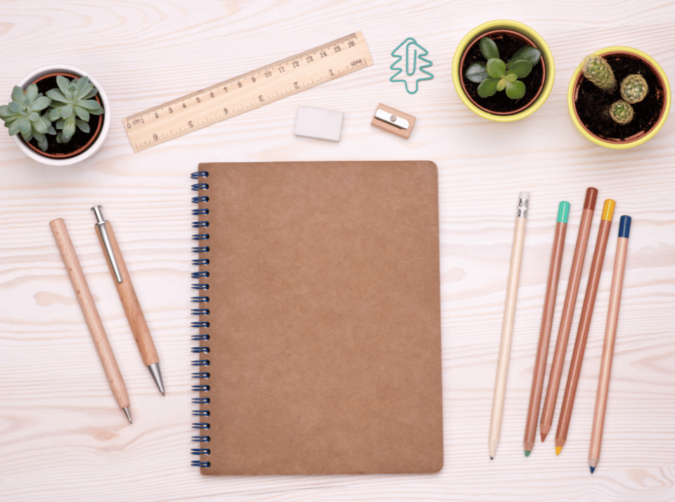 Carbon-Conscious Office Supplies: Your Guide to a Greener Workspace