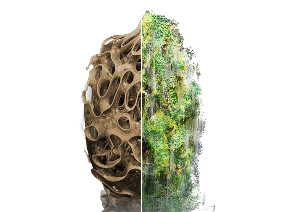 How 3D-Printed ‘Urban Reefs’ Are Bringing Nature Back to Concrete Jungles